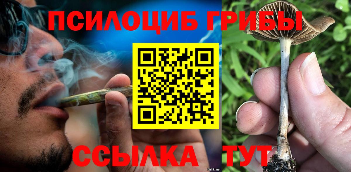 Красногорск  Псилоцибиновые грибы Magic Shrooms  купить наркотик  Вход с VPN 